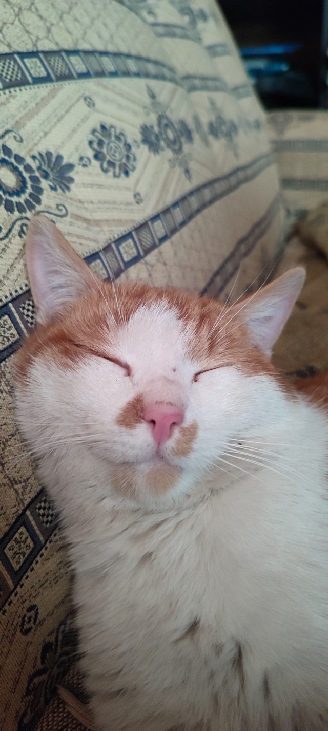 Жизнь удалась!