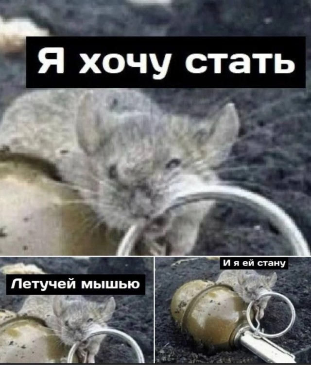 Веселые картинки в понедельник 28.04