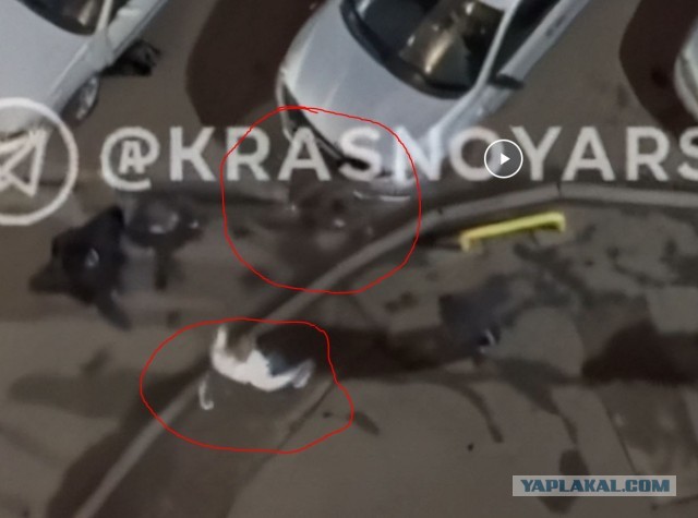 Стрельба в Красноярске