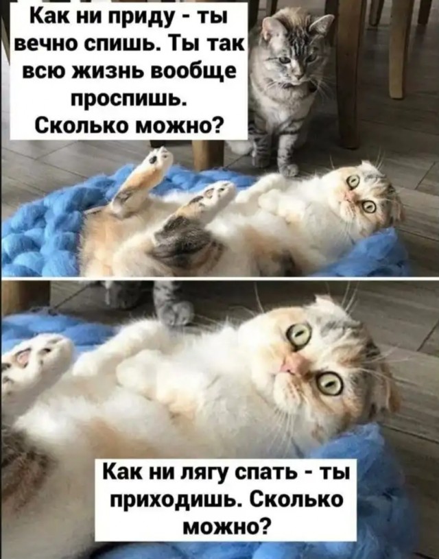 Завалялось тут случайно немного забавных картинок