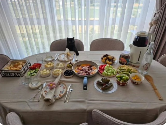 Садитись жрать