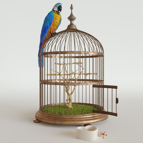 Про кота, попугая и «коренных одесситов».