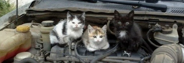 Причина опоздания на работу