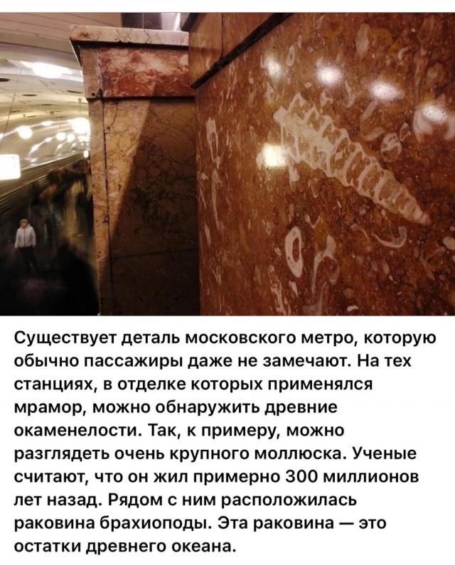 Москва и москвичи. Двадцатый век. 03.08.25