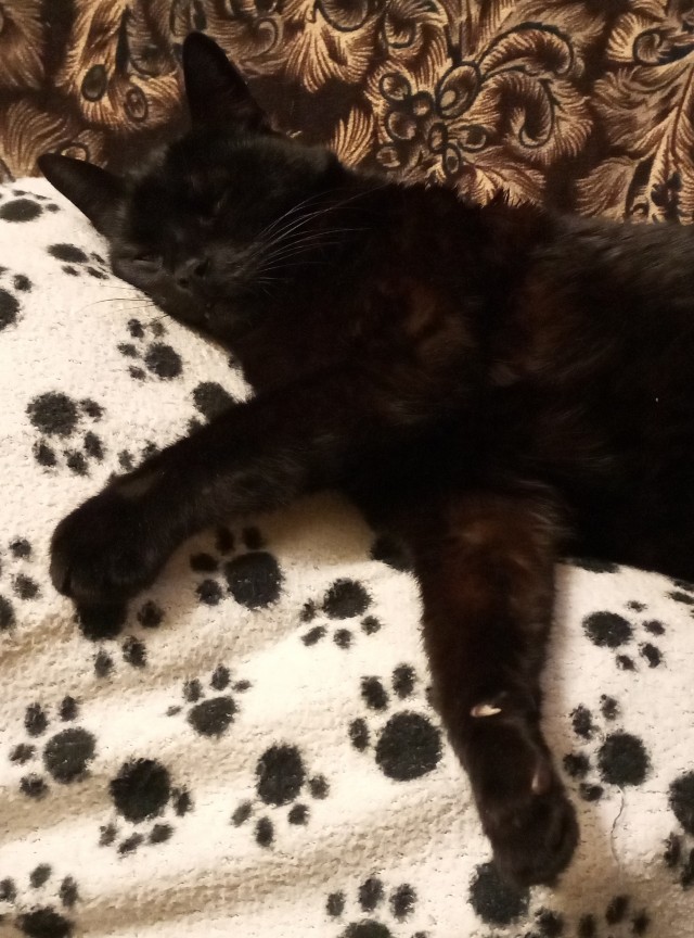 Его первый вторник