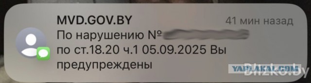 И снова о самокатах