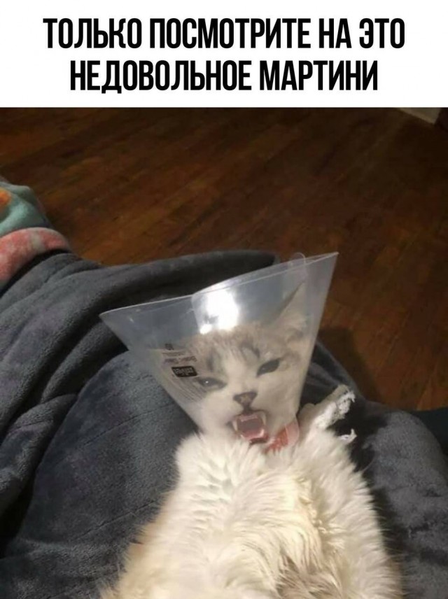 Среда обитания 0.1