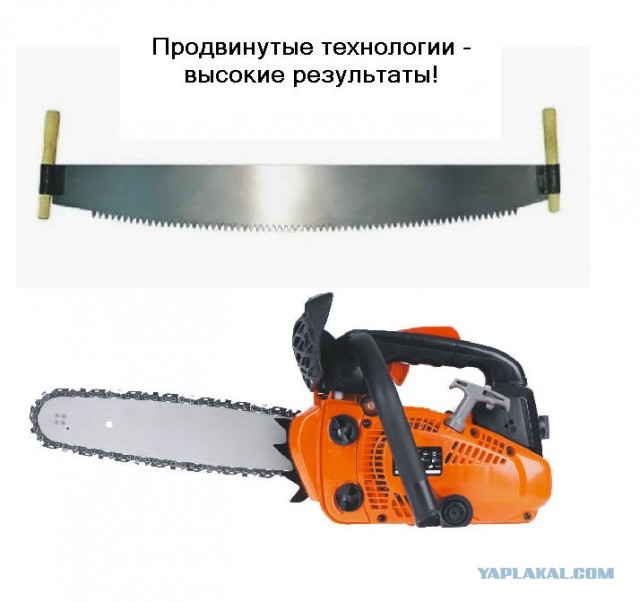 Власти выделили 55 миллиардов на доводку оборудования и материалов для российских чипов до серийного производства
