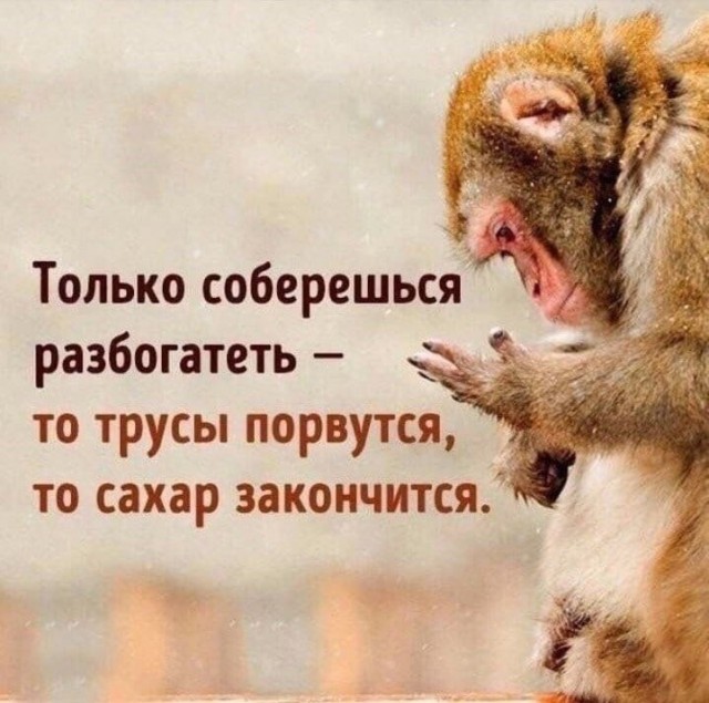 Среды картинки