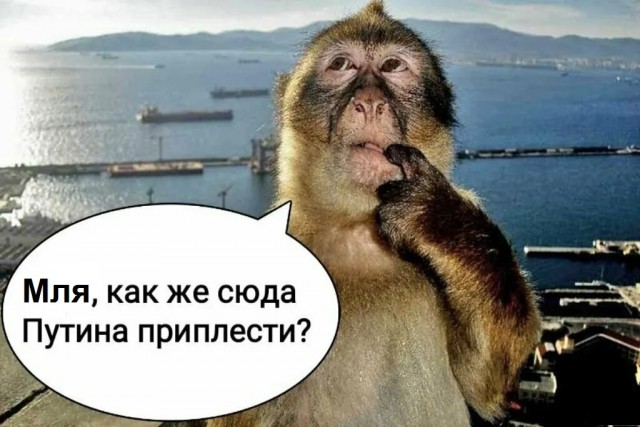Десять лет за стеной. История мальчика, которого искала вся страна, пока он томился у соседа