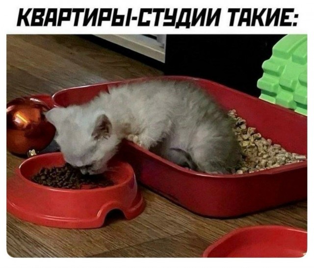 Пятничные картинки