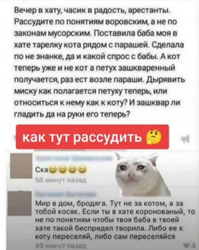 Картинки всякие разные невпопад 1.2