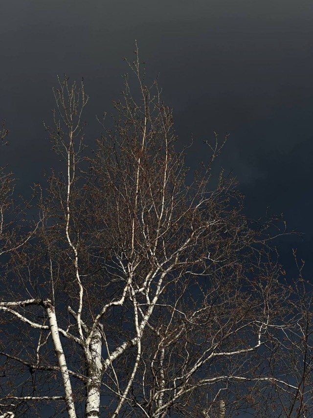 Пермь накрыло густым чёрным дымом — местные делятся жуткими кадрами