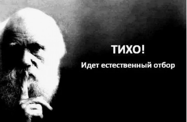 К дождю
