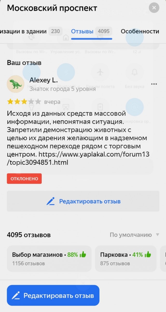 Монахиню, спасающую котят, прогнали от ТЦ в Воронеже, где она раздавала пушистиков