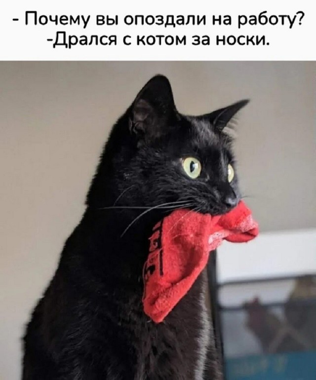 Так себе картинки 13.08.26