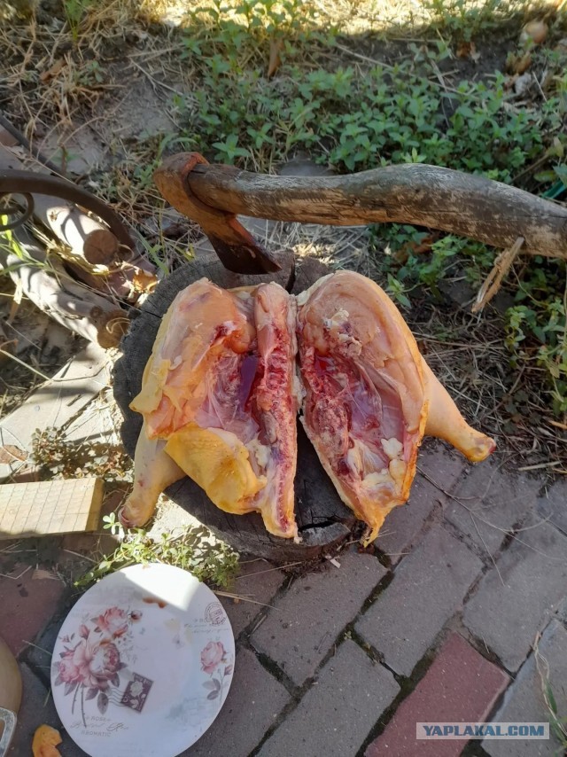 Достучаться до небес.