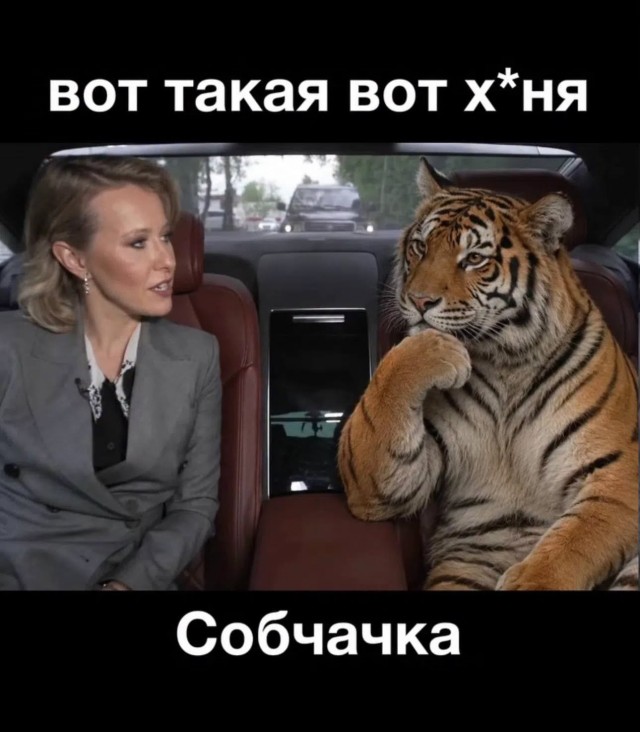 Картинки для деградации 287 (разной степени свежести)