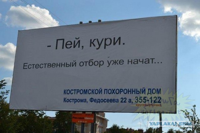 Рабы, сосите пиво
