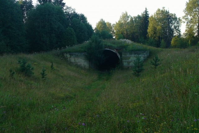 Добряки, плюсующие всех подряд