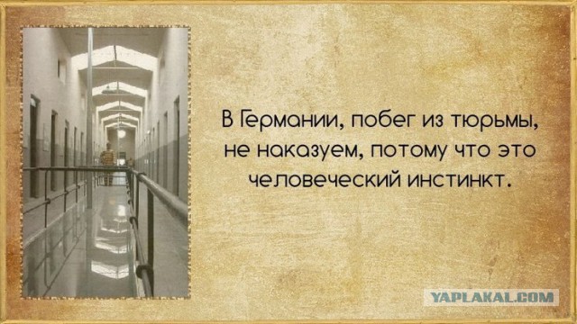 Факты в картинках