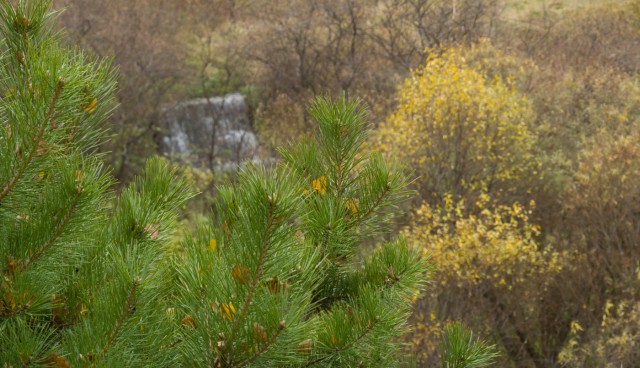 Деревенская Америка