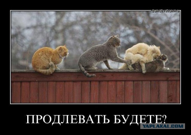 Весёлые картинки