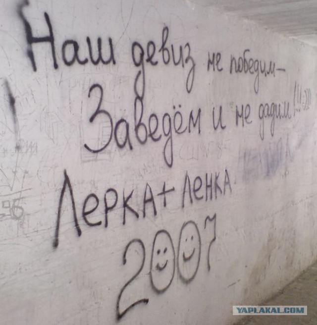 Весёлое из сети