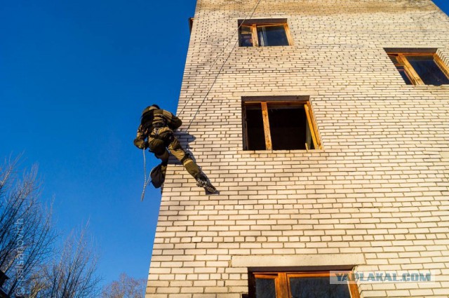 Как Палсаныч СМСки получал...