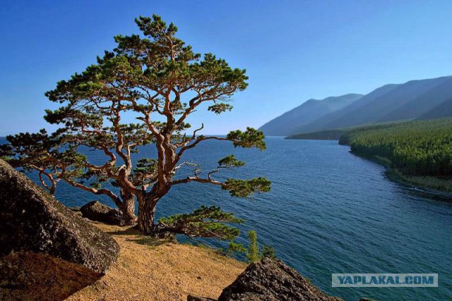 Дикарями вдоль Байкала