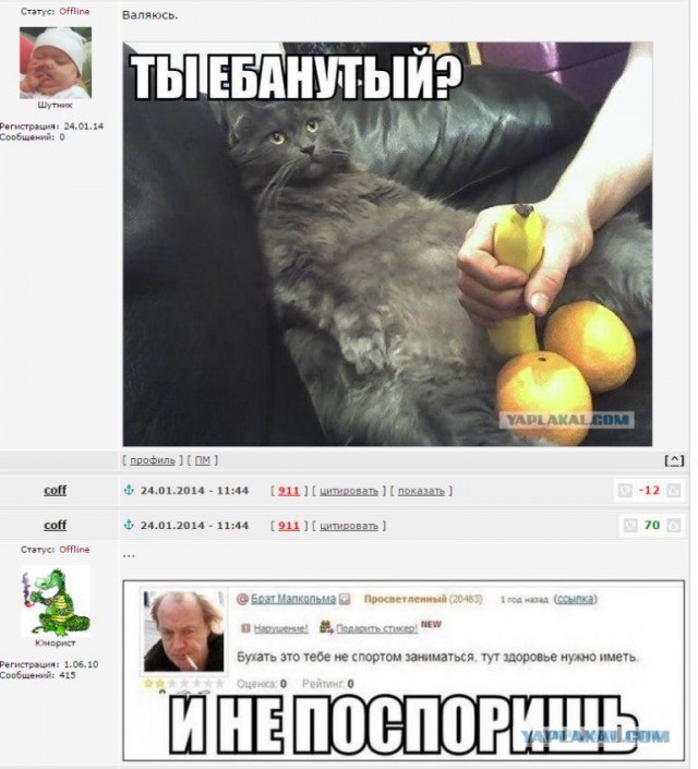 Смешные комментарии из социальных сетей