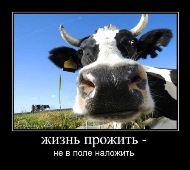 Вы хотите "демов"? часть 2-я
