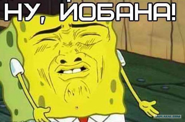 Когда у дальнобойщика гости