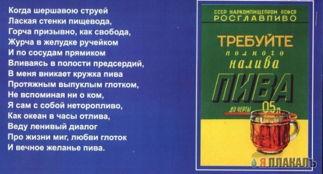 ПИВО. Все про пенистый напиток