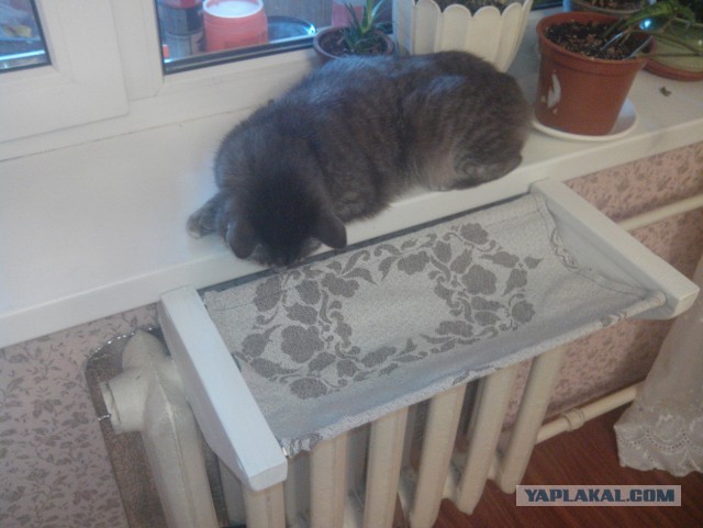 Лежанка для кота