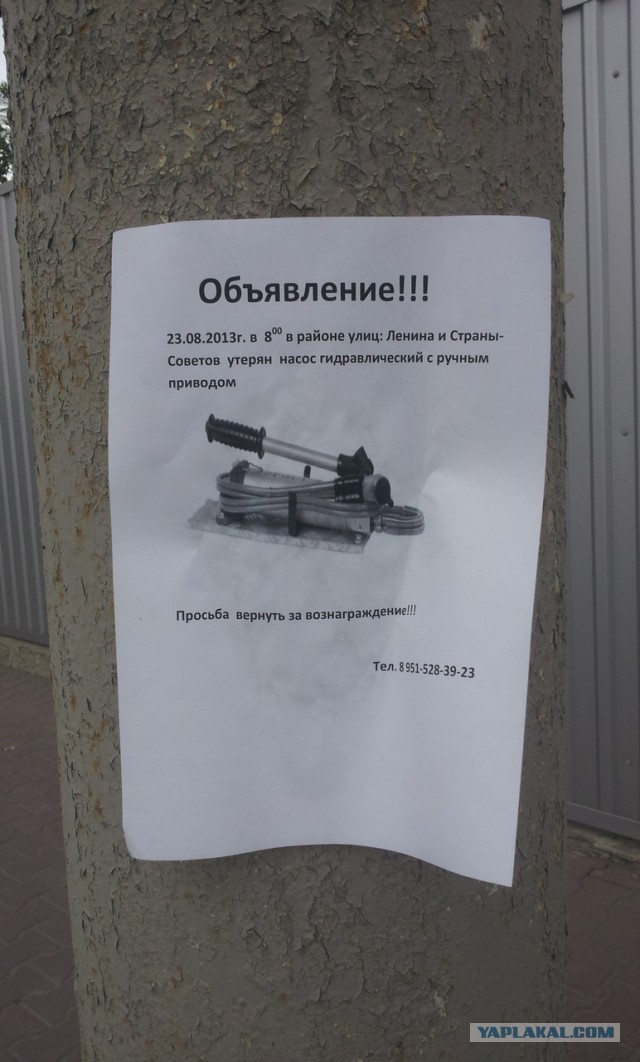 Подборка картинок из сети
