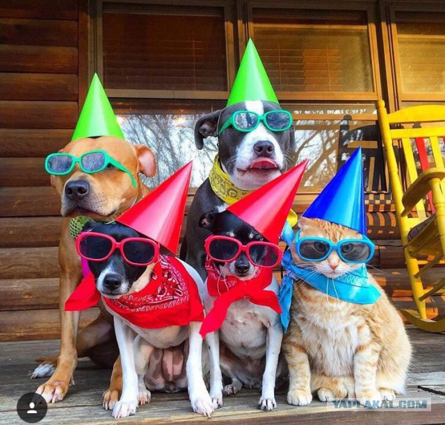 Подборка картинок 17.02.16