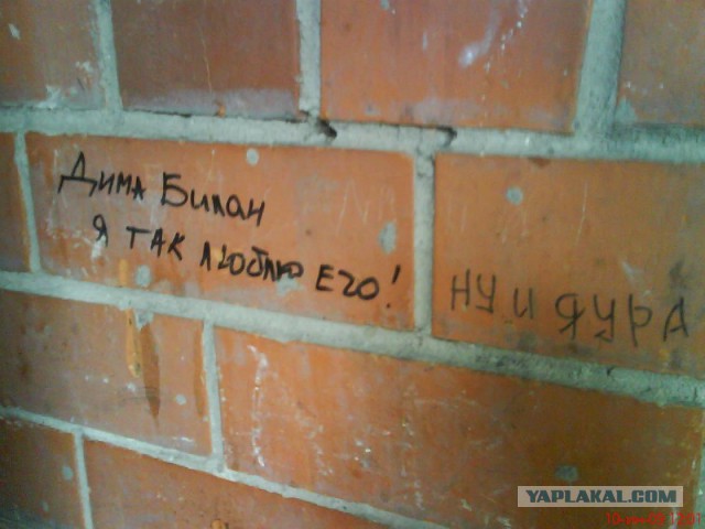 Забавные картинки из сети