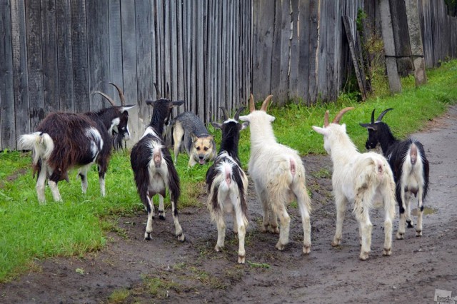 Подборка прикольных фото