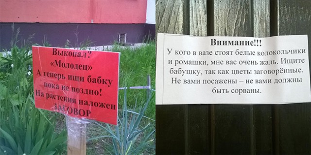 Необычные предупреждения появились в московских парках