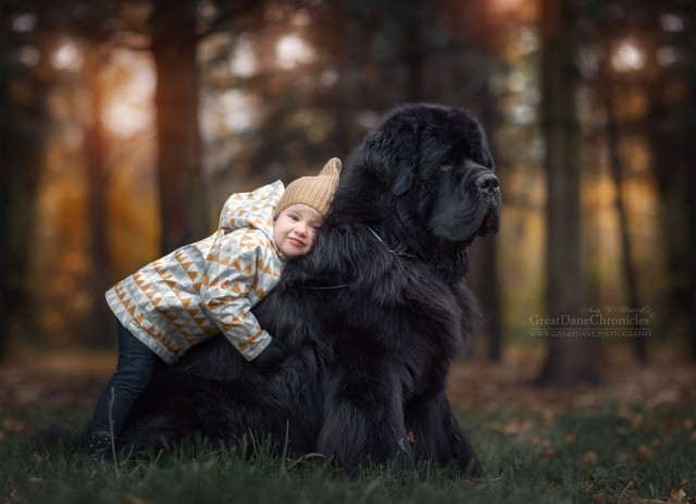 Мы с лучшим другом: фотографии детей и их больших собак