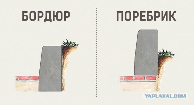 Это правда?