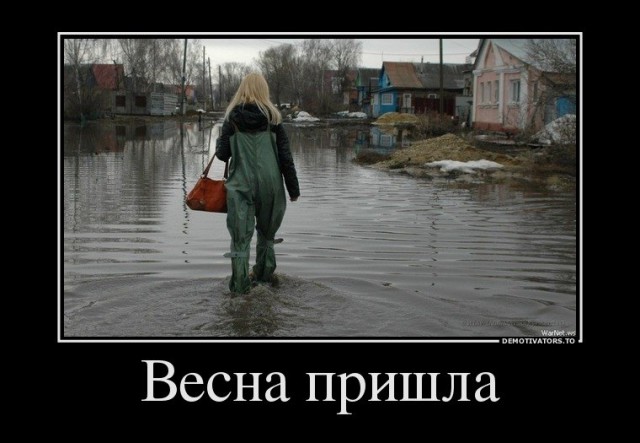 Подборка безудержного веселья