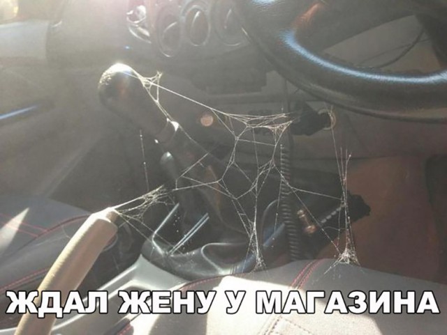 Всякая всячина