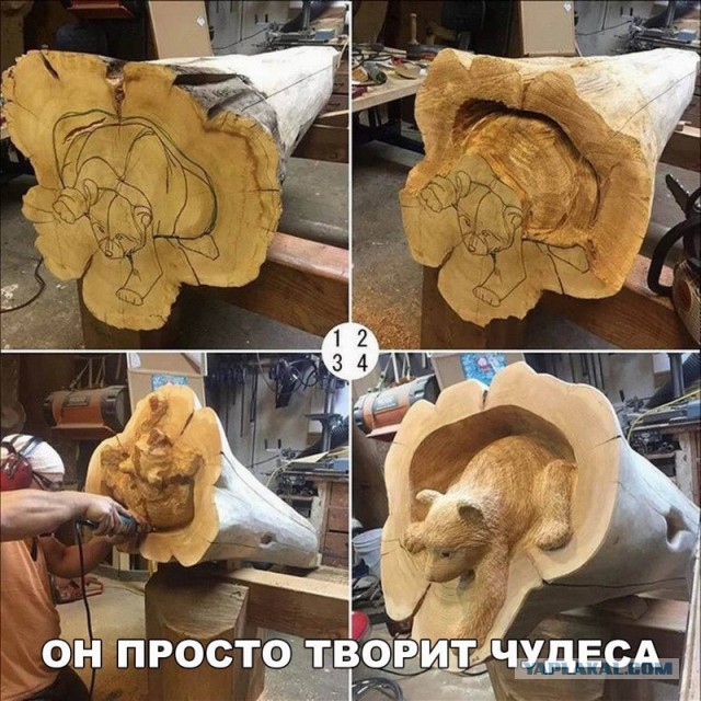 Забавные картинки из Сети.