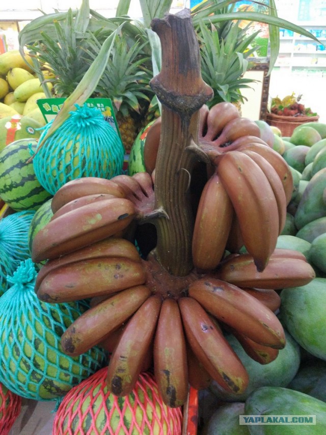 ХАЙНАНЬ. Записки путешественника. Часть первая.