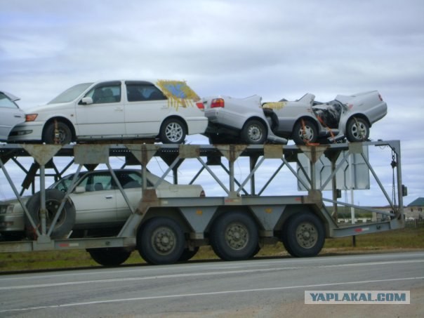 Катайтесь на здоровье! (2 фото)