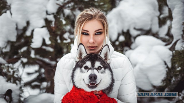 Собачницы