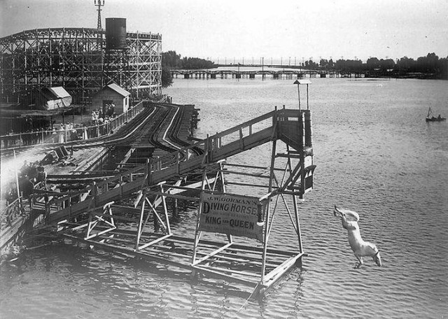 Интересные и редкие ретро-фотографии
