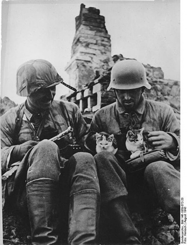 История в фотографиях - II